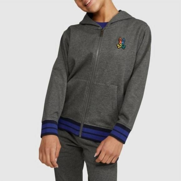 PSYCHO BUNNY Kid's Warwick Color Block Logo Hoodie In Heather Storm Size XS 5-6 - Picture 1 of 16